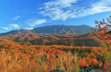 Fall Honeymoon 